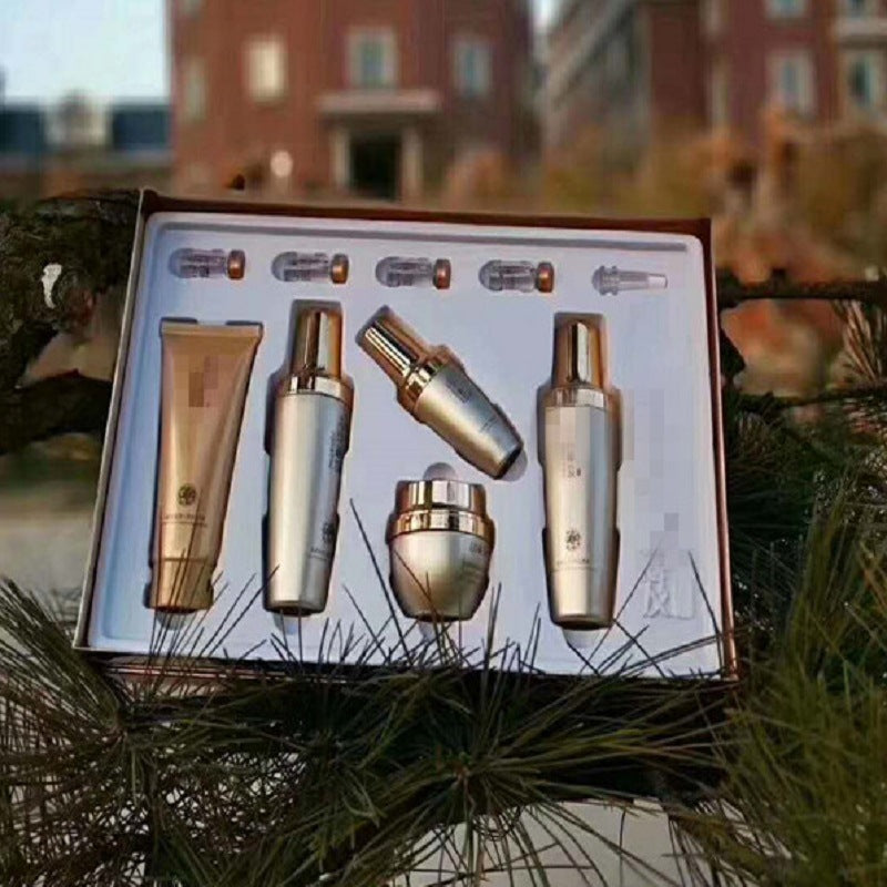 e378eb653a03cefc237a8409c3e96b50